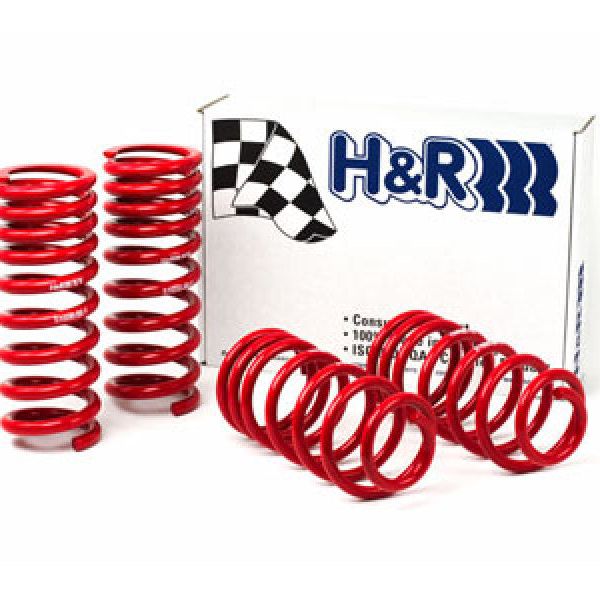 H&R 94-95 Ford Mustang/Mustang Cobra V8 Race Spring-Lowering Springs-H&R-HRS51650-88-SMINKpower Performance Parts