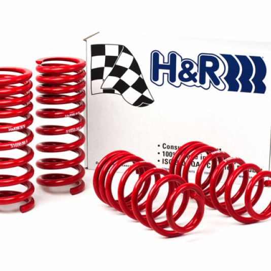 H&R 94-95 Ford Mustang/Mustang Cobra V8 Race Spring-Lowering Springs-H&R-HRS51650-88-SMINKpower Performance Parts