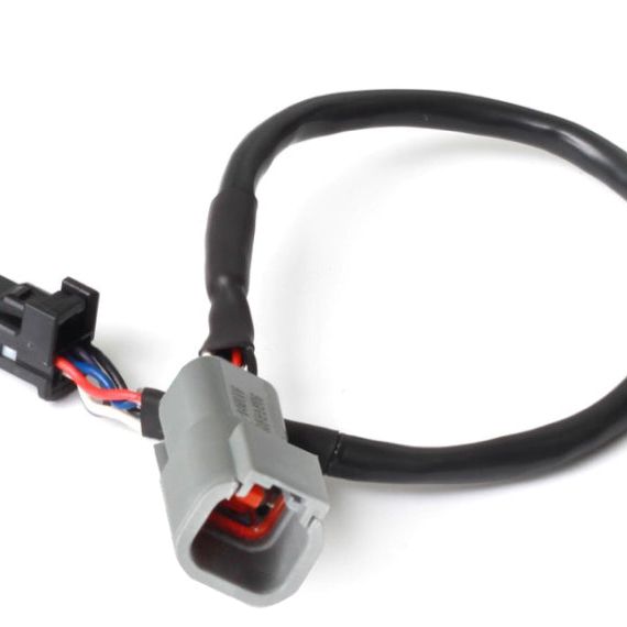 Haltech 3in CAN Adaptor Cable DTM-4 Female Receptacle/Socket to 8 Pin Black Tyco-Wiring Connectors-Haltech-HALHT-130040-SMINKpower Performance Parts