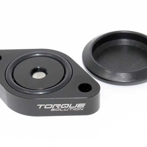 Torque Solution Sound Symposer Delete 2013+ Ford Focus ST-Block Off Plates-Torque Solution-TQSTS-ST-511-SMINKpower Performance Parts