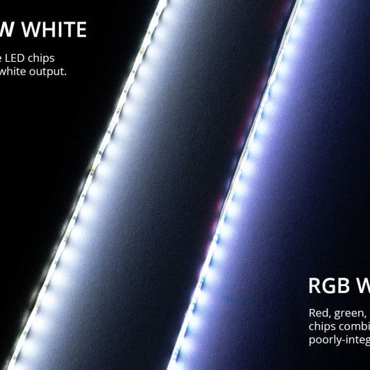 Diode Dynamics RGBW Multicolor Underglow LED Kit