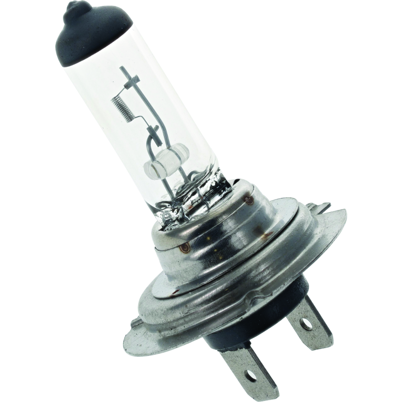 BikeMaster H-7 Halogen Bulb