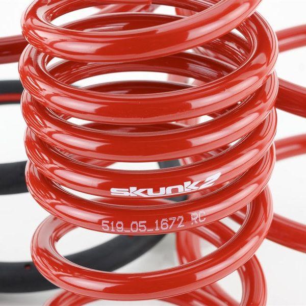 Skunk2 05-06 Acura RSX Lowering Springs (2.25in - 2.00in.) (Set of 4)-Lowering Springs-Skunk2 Racing-SKK519-05-1672-SMINKpower Performance Parts