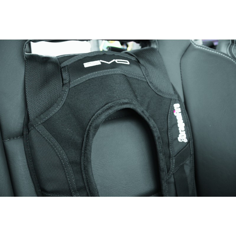 DragonFire Racing Harness Evo- Black