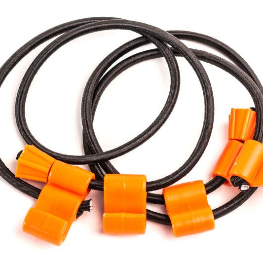 Giant Loop Rubber Boa Straps - Black/Orange