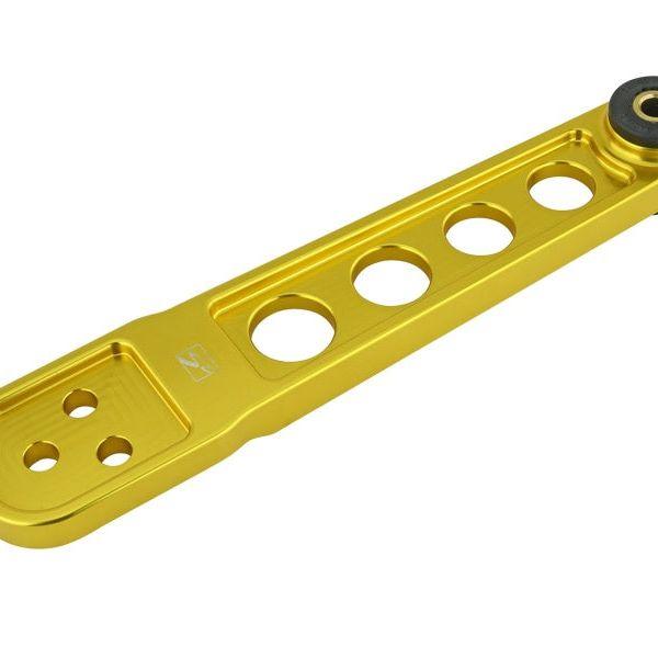 Skunk2 01-05 Honda Civic Gold Anodized Rear Lower Control Arm (Includes Socket Tool)