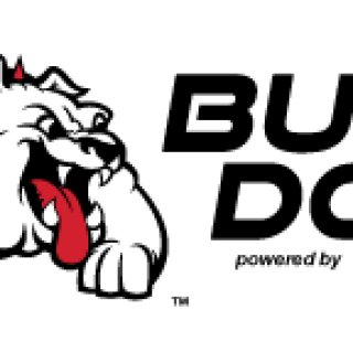 Bully Dog Pyrometer Probe