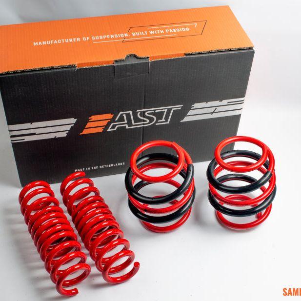 AST 76-84 Mercedes-Benz 200 240D/240TD/280E/280TE/280CE/300D/300TD (W123) Lowering Springs 40mm/40mm