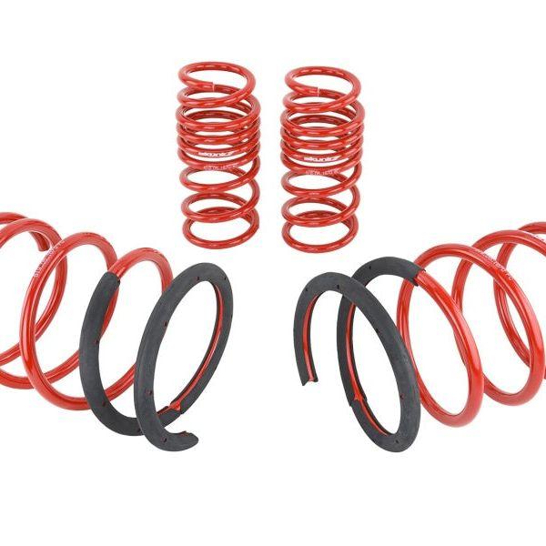 Skunk2 02-04 Acura RSX Lowering Springs (2.25in - 2.00in.) (Set of 4)-Lowering Springs-Skunk2 Racing-SKK519-05-1670-SMINKpower Performance Parts