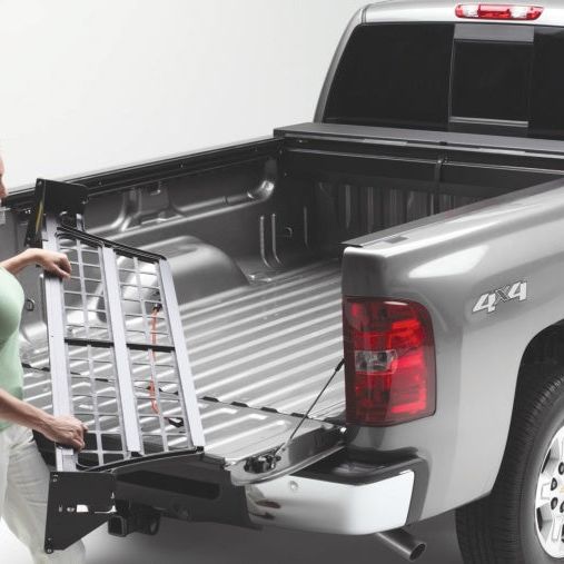 Roll-N-Lock 2019 Ram 1500 (Excluding RamBox Models) 5ft 6in Bed Cargo Manager