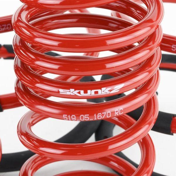 Skunk2 02-04 Acura RSX Lowering Springs (2.25in - 2.00in.) (Set of 4)-Lowering Springs-Skunk2 Racing-SKK519-05-1670-SMINKpower Performance Parts