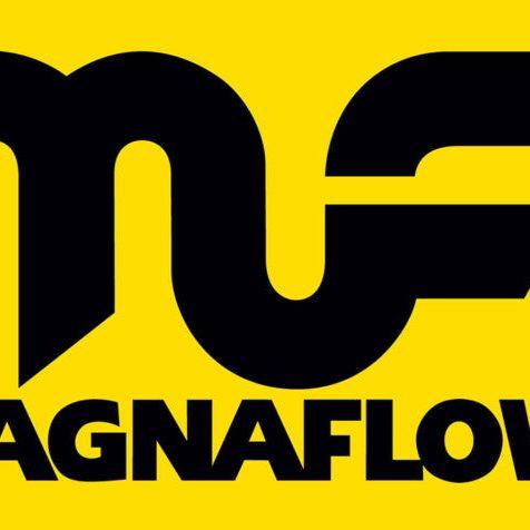 MagnaFlow Muffler Mag SS 22X4X4 2.5 C/C