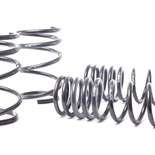 H&R 04-06 BMW 525i/530i/545i E60 Race Spring (w/o Self Leveling)-Lowering Springs-H&R-HRS50460-88-SMINKpower Performance Parts
