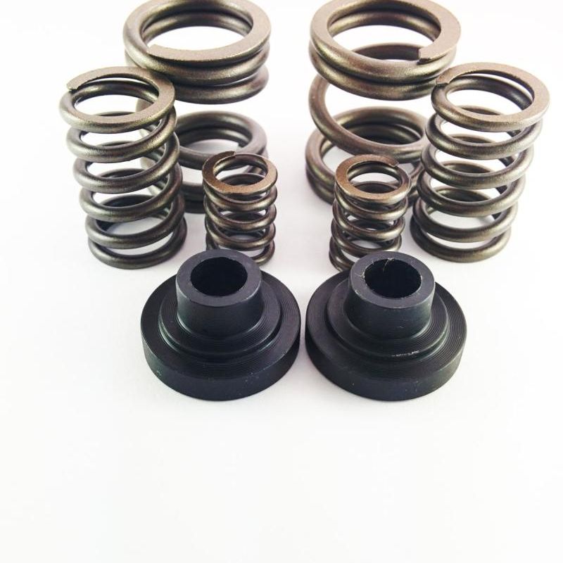 DDP Dodge 94-98 P-Pump 3000 & 4000 RPM Governor Spring Kit