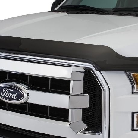 Stampede 2015-2019 Ford F-150 Vigilante Premium Hood Protector - Smoke