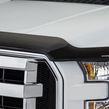 Stampede 2015-2019 Ford F-150 Vigilante Premium Hood Protector - Smoke