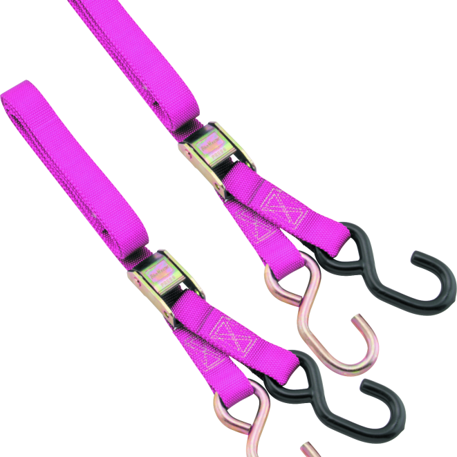 BikeMaster 1in Tiedown - Pink