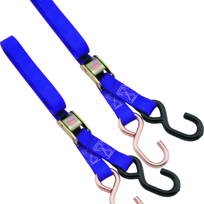 BikeMaster 1in Tiedown - Purple