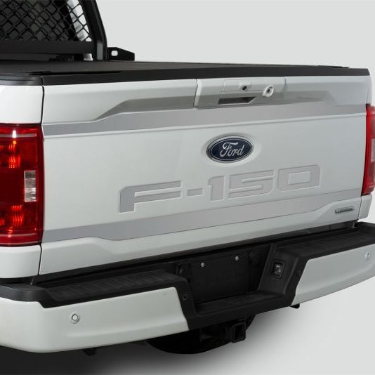 Putco 2021 Ford F-150 Ford Lettering (Cut Letters/Stainless Steel) Tailgate Emblems - SMINKpower Performance Parts PUT55559FD Putco