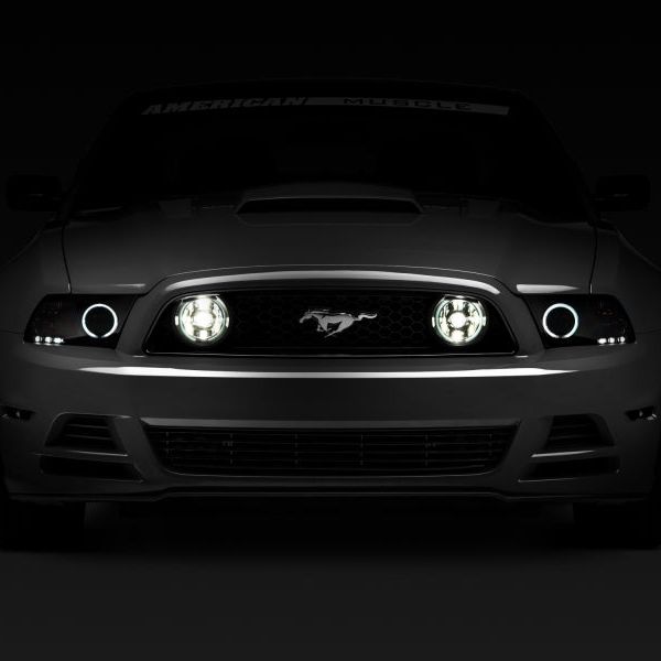 Raxiom 13-14 Ford Mustang GT CCFL Halo Fog Lights (Smoked) - SMINKpower Performance Parts RAX49177 Raxiom