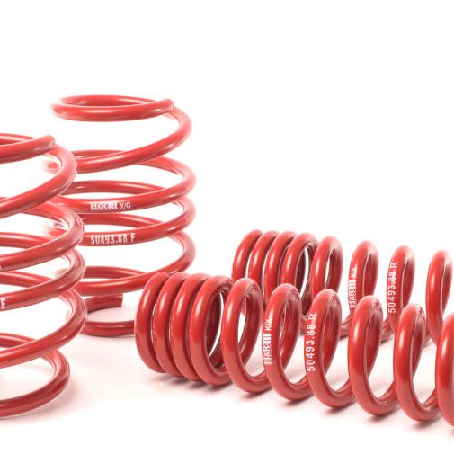 H&R 08-13 BMW M3 Coupe/M3 Sedan E92 Race Spring-Lowering Springs-H&R-HRS50493-88-SMINKpower Performance Parts