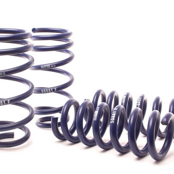 H&R 11-14 Dodge Charger RT (2WD) RT MAX V8 Sport Spring-Lowering Springs-H&R-HRS50881-SMINKpower Performance Parts