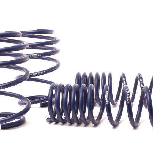 H&R 05-10 BMW M5 E60 Sport Spring-Lowering Springs-H&R-HRS50463-SMINKpower Performance Parts