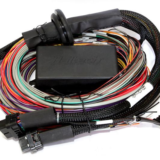 Haltech Elite 2500 & 2500 T 8ft Premium Universal Wire-In Harness-Wiring Harnesses-Haltech-HALHT-141304-SMINKpower Performance Parts