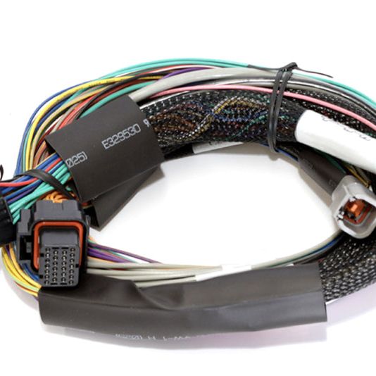 Haltech Elite 2500 8ft Basic Universal Wire-In Harness (Excl Relays or Fuses) - SMINKpower Performance Parts HALHT-141302 Haltech