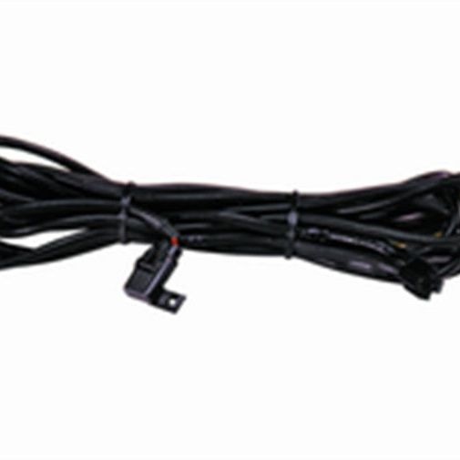 Hella High Performance Halogen Wiring Harness - SMINKpower Performance Parts HELLAH84994031 Hella