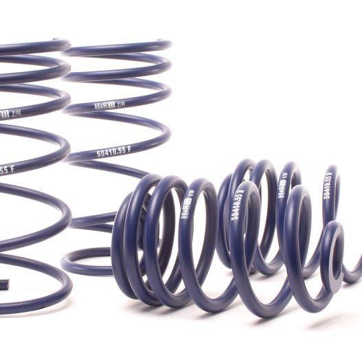 H&R 94-96 BMW M3 3.0L E36 OE Sport Spring (Non Cabrio)-Lowering Springs-H&R-HRS50410-55-SMINKpower Performance Parts