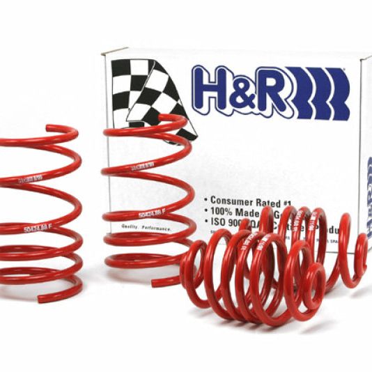 H&R 92-98 BMW 325i/325is/328i/328is E36 Race Spring (After 6/22/92 & Non Cabrio)-Lowering Springs-H&R-HRS50424-88-SMINKpower Performance Parts