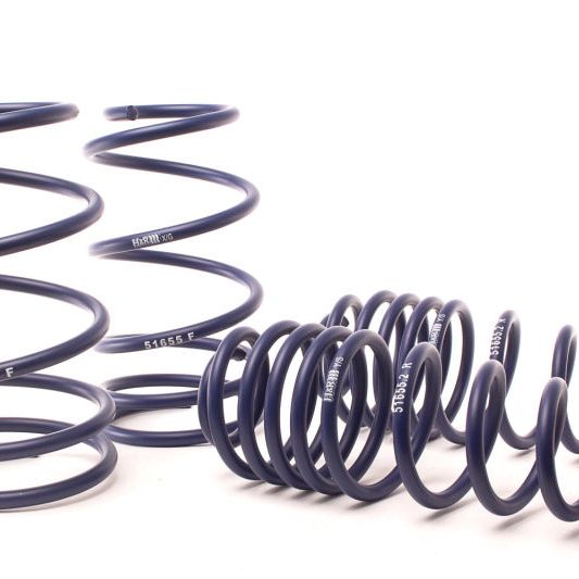 H&R 11-14 Ford Mustang/Mustang Convertible/Mustang GT V6/V8 Sport Spring-Lowering Springs-H&R-HRS51690-SMINKpower Performance Parts