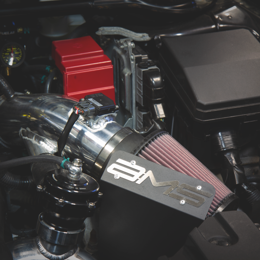 AMS Performance 08-15 Mitsubishi EVO X Intake Fan Shield for Standard Intake (Excl CAI) - SMINKpower Performance Parts AMSAMS.04.08.0006-1 AMS