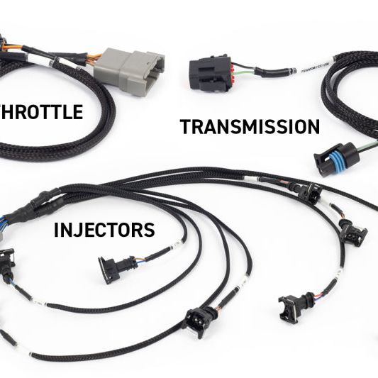 Haltech NEXUS Rebel LS Kit (Suits Gen III) Cable Throttle/EV1 Injectors/Manual Transmission - SMINKpower Performance Parts HALHT-220201 Haltech