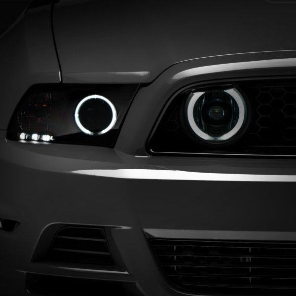 Raxiom 13-14 Ford Mustang GT CCFL Halo Fog Lights (Smoked) - SMINKpower Performance Parts RAX49177 Raxiom
