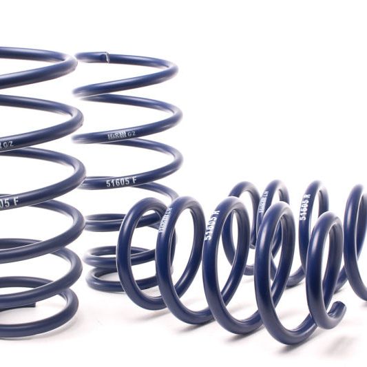 H&R 07-14 Ford Edge (2WD/AWD) Sport Spring-Lowering Springs-H&R-HRS51605-SMINKpower Performance Parts