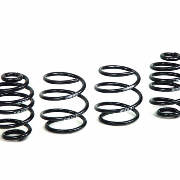 H&R 03-08 BMW Z4 E85 Sport Spring-Lowering Springs-H&R-HRS50421-SMINKpower Performance Parts