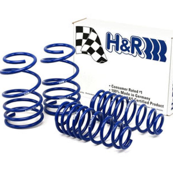 H&R 05-09 Ford Mustang/Convertible/GT/Shelby GT/Shelby GT-H V6/V8 Super Sport Spring-Lowering Springs-H&R-HRS51655-77-SMINKpower Performance Parts
