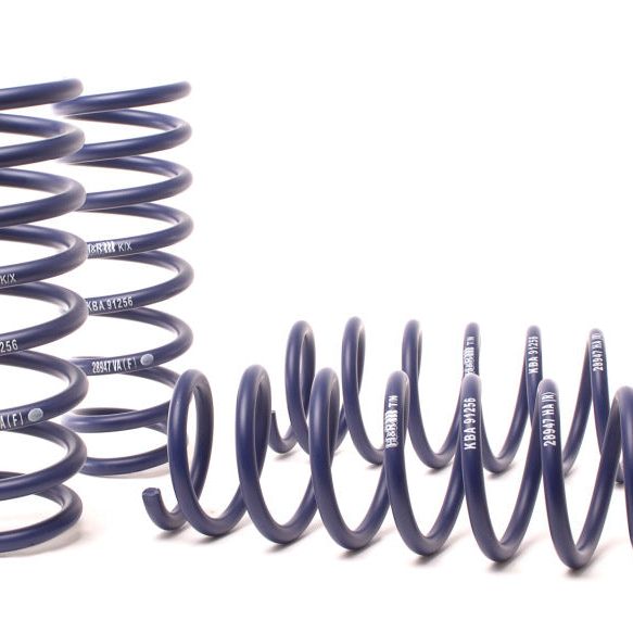H&R 11-16 BMW 550i F10 Sport Spring - SMINKpower Performance Parts HRS50470 H&R