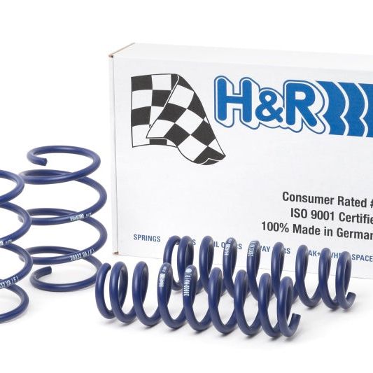 H&R 13-16 BMW 328i xDrive Gran Turismo/335i xDrive Gran Turismo (AWD) F34 Sport Spring-Lowering Springs-H&R-HRS28832-2-SMINKpower Performance Parts