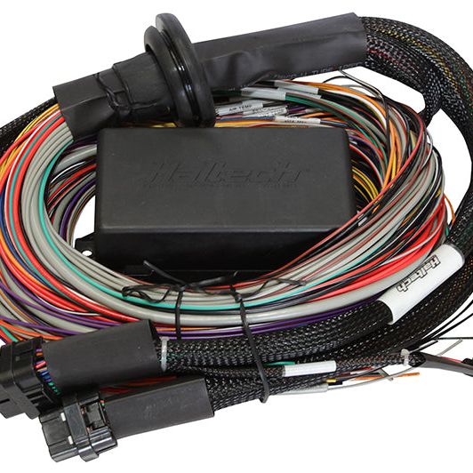Haltech Elite 1500 8ft Premium Universal Wire-In Harness - haltech-elite-1500-8ft-premium-universal-wire-in-harness