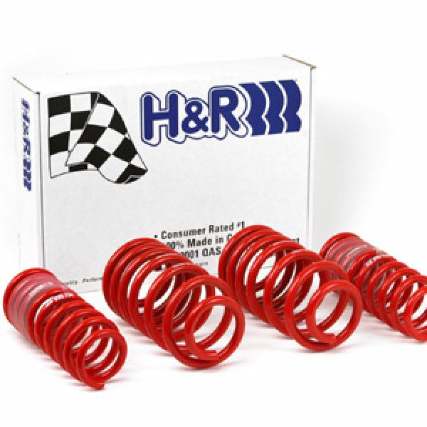 H&R 96-01 Audi A4 Quattro (AWD) B5 Race Spring-Lowering Springs-H&R-HRS29996-1-SMINKpower Performance Parts