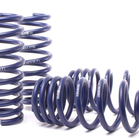 H&R 07-13 BMW X5 E70 Sport Spring (w/o Self-Leveling/Incl. Diesel) - SMINKpower Performance Parts HRS50435 H&R