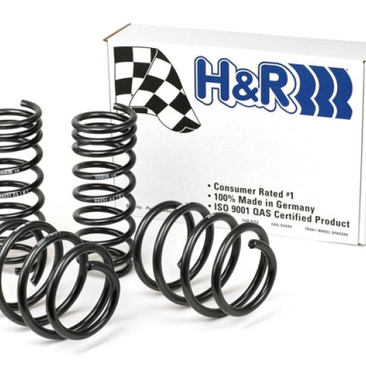 H&R 04-11 BMW 645Ci Coupe/650i Coupe E63 Sport Spring (w/Dynamic Drive/Non Convertible)-Lowering Springs-H&R-HRS50466-SMINKpower Performance Parts