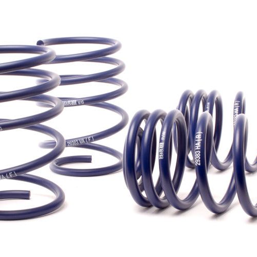 H&R 01-05 BMW 325Xi/330Xi E46 Sport Spring-Lowering Springs-H&R-HRS29383-SMINKpower Performance Parts