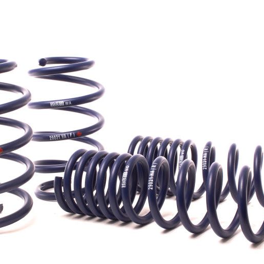 H&R 14-19 Ford Escape (2WD/4WD) 4 Cyl/V6 Sport Spring-Lowering Springs-H&R-HRS51603-2-SMINKpower Performance Parts