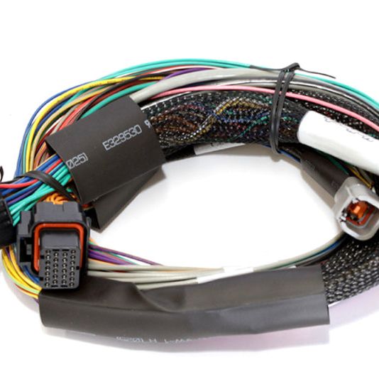 Haltech Elite 2500 Basic Universal Wire-In Harness ECU Kit - SMINKpower Performance Parts HALHT-151302 Haltech