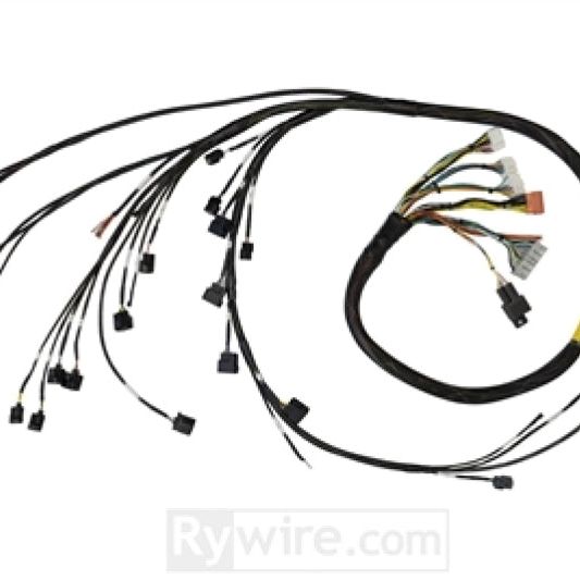 Rywire 02-04 K-Series RWD Mil-Spec Eng Harn w/02-04 Wiring/K-Pro/S2K Tran/K-Ser TB/Int (Adapter Req) - SMINKpower Performance Parts RYWRY-K2-RWD Rywire