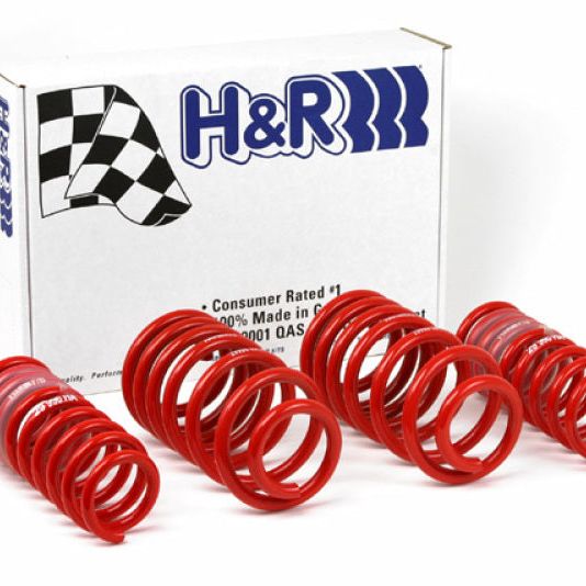 H&R 96-01 Audi A4 Quattro (AWD) B5 Race Spring-Lowering Springs-H&R-HRS29996-1-SMINKpower Performance Parts